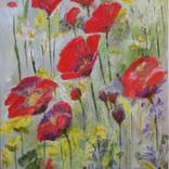 Fields of poppies by Marie Larraine Weir