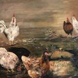 The Chooks of the Coal loader Waverton NSW by Marie Larraine Weir