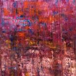 Pink Coral by Thom Wilhelms
