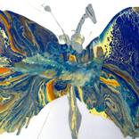 Collection Wings