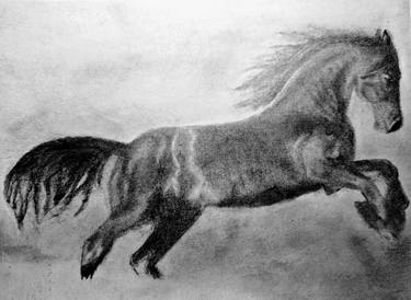 Print of Horse Drawings by Davinci's Intern