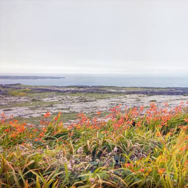 Wildflowers of Inis Mór - Limited Edition of 20 thumb