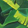 Banana leaves detail 2