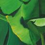 Banana leaves detail 3
