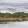 Lough Carra, detail 3
