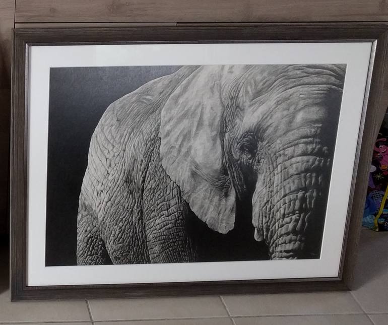 Original Fine Art Animal Drawing by Magali Lapeyre-Mirande