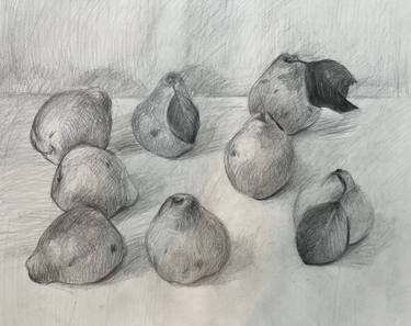 Original Realism Still Life Drawing by Zahra Azimzade