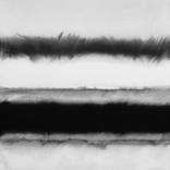 Collection Fluid Series Black and White - Indian Ink