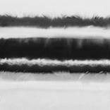 Collection Fluid Series Black and White - Indian Ink