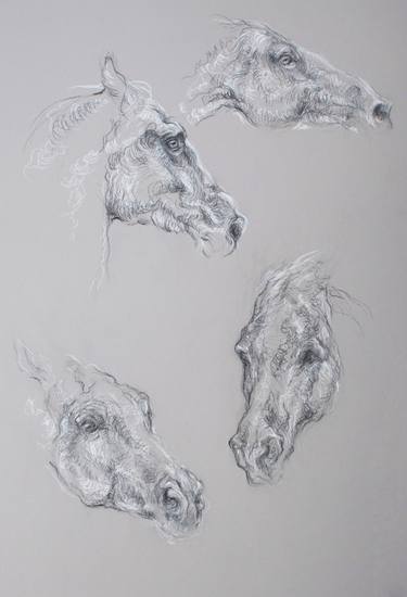 Print of Horse Drawings by Diana Torje