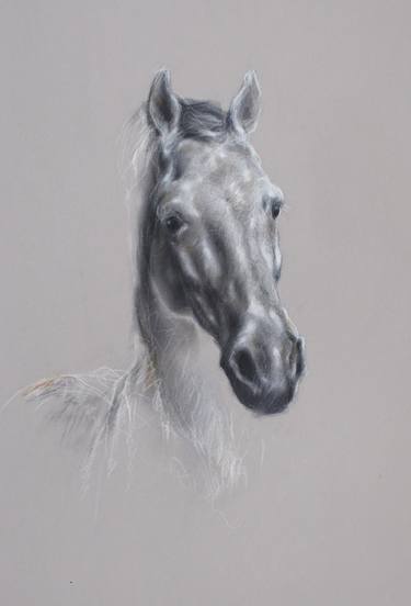 Print of Horse Drawings by Diana Torje