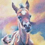 The Artist by Diana Torje