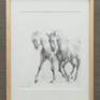 The drawing is framed.
Artwork size: 40 x 30 cm

The artwork represents the grace of the horse's movement, one always has the impression that they dance.

The painting was exhibited at the international art fair Art3f, Paris 2020.