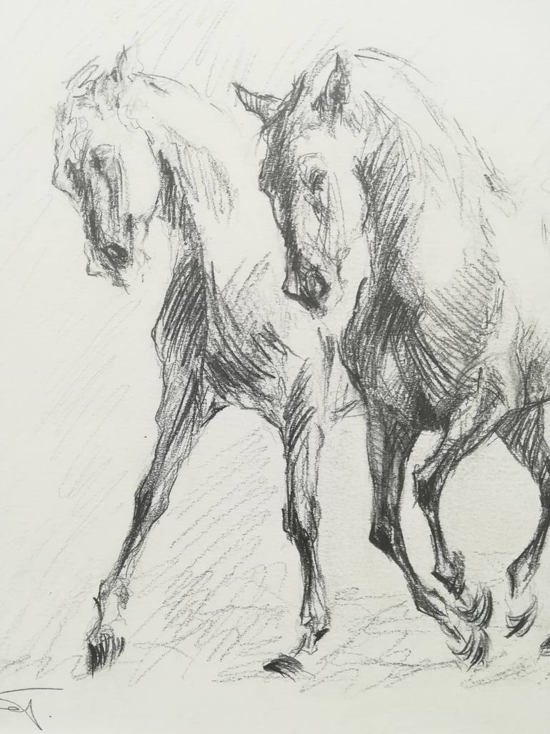 Original Figurative Horse Drawing by Diana Torje