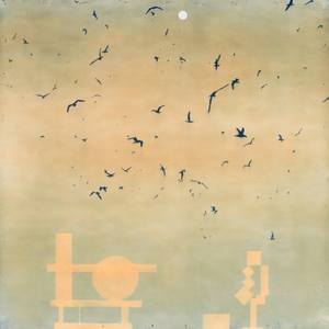 Collection August 2019