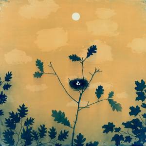 robin nest and eggs