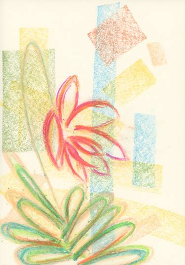 Original Abstract Floral Drawings by D.C. Thomas