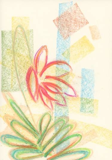 Original Floral Drawings by D.C. Thomas