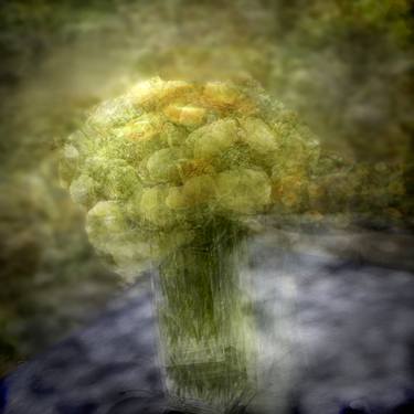 Original Impressionism Botanic Photography by Jacob Jay Garfinkel