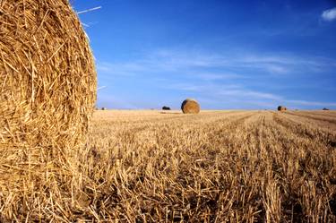Straw bales in Summer thumb