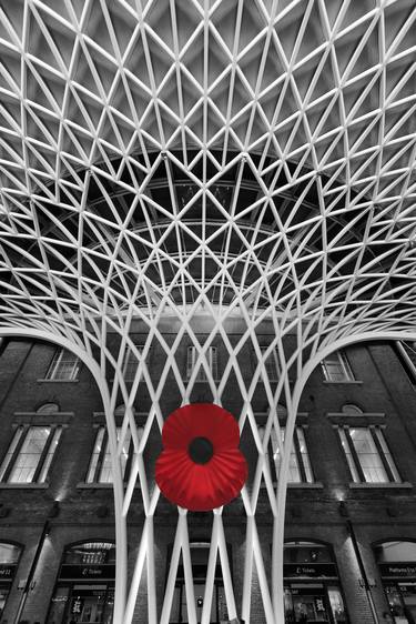 The huge poppy at Kings Cross Railway Station on Armistice Day in London City, England, UK - Limited Edition of 20 thumb