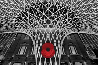 The poppy at Kings Cross Railway Station, London City - Limited Edition of 15 thumb