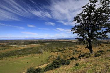 View over Mirador Cerro Dorotea, Puerto Natales city Patagonia Steppe, Chile - Limited Edition of 15 thumb