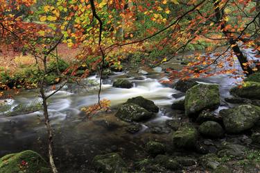 Autumn, Aira Force beck, Ullswater, Lake District, National Park, Cumbria, England - Limited Edition of 25 thumb