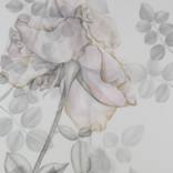 Diaphanous by Shirley Ploog