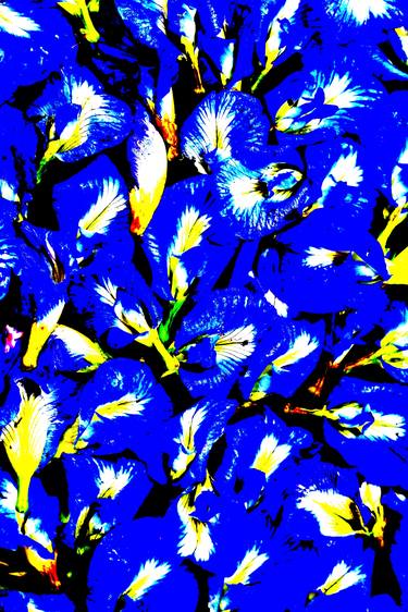 Print of Abstract Floral Photography by MGS Art