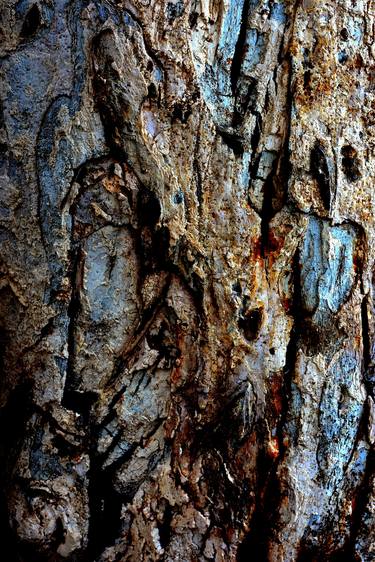 Print of Abstract Tree Photography by MGS Art