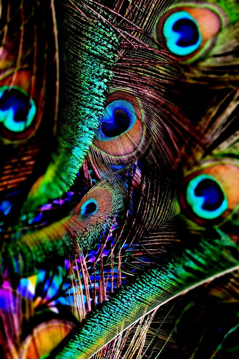 Peacock feather art hi-res stock photography and images - Alamy