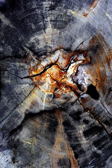 Print of Abstract Tree Photography by MGS Art