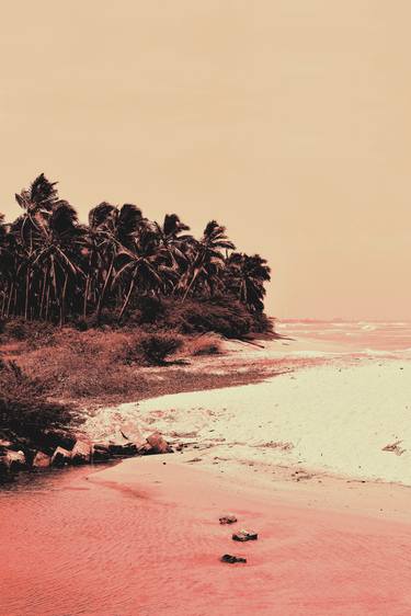 Palm Trees and the Sea thumb