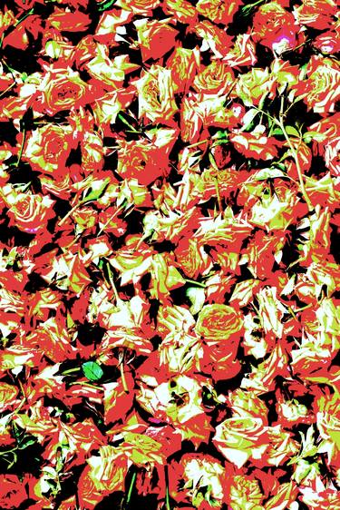 Print of Abstract Expressionism Floral Photography by MGS Art