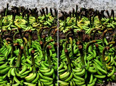 Banana Republic - Diptych thumb