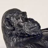 King Kong Balls”: The Unmistakable Bronze Spectacle by Denis Defrancesco