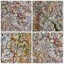 Pollock à Rome. Fluidity details with enamel paint on acrylic.