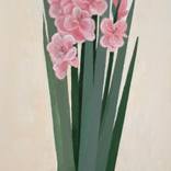 Gladiolus by Julie Scoma