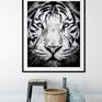 Modern room mockup of framed white tiger