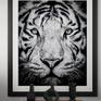 modern framed artwork