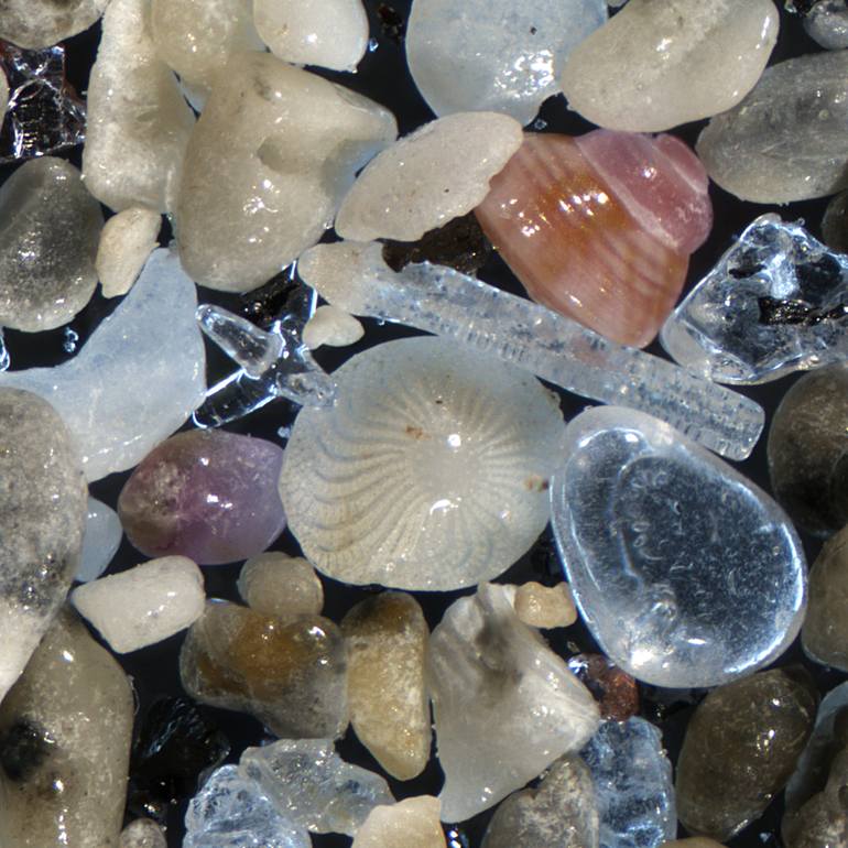 Original Other Beach Photography by Debbie Harding