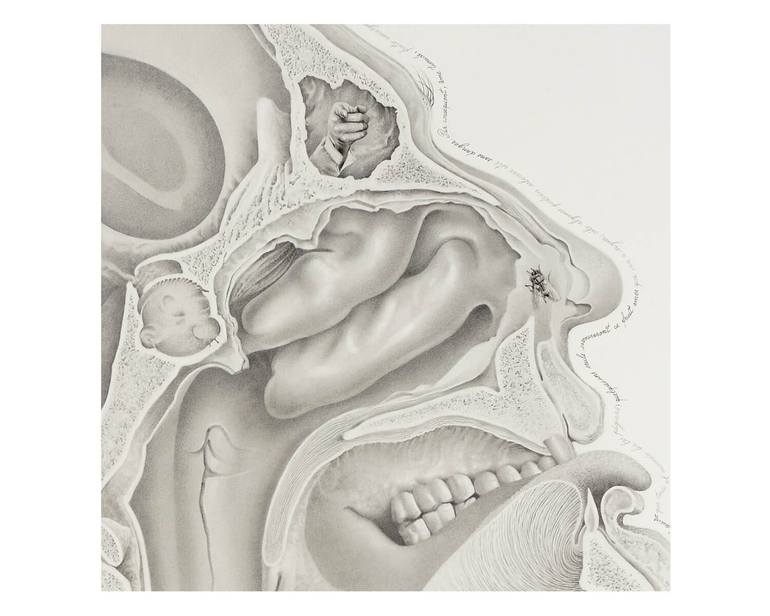 Original Conceptual Body Drawing by Oscar Larroca