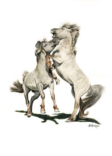 Print of Fine Art Horse Drawings by Jo McKinney