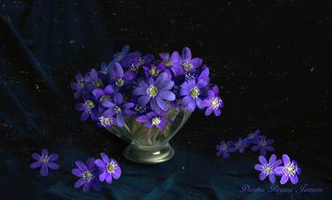 blue flowers on a blue background thumb