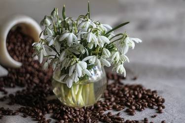 still life with coffee and white snowdrops thumb