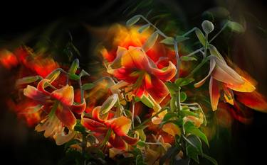 Print of Floral Photography by Dzintra Regina Jansone