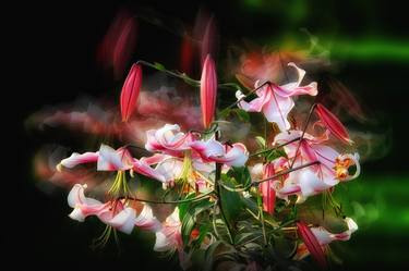 Original Floral Photography by Dzintra Regina Jansone