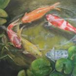 PLAYING KOI by Don Silvestri