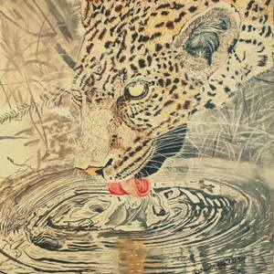 Thirsty Leopard